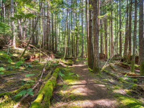 1055 Spider Lake Rd, Qualicum Beach, BC 