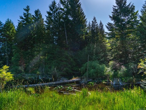 1055 Spider Lake Rd, Qualicum Beach, BC 