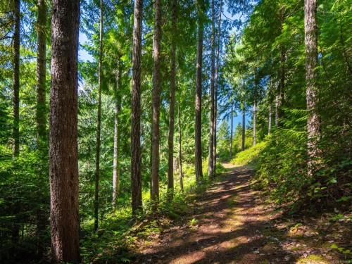 1055 Spider Lake Rd, Qualicum Beach, BC 