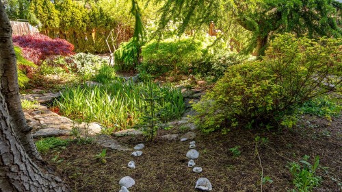1545 Kye Bay Rd, Comox, BC - Outdoor