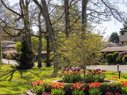 #137-2345 Cedar Hill Cross Rd, Oak Bay, BC 