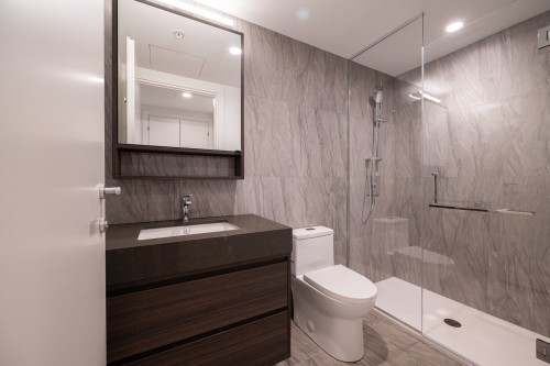 Salle de bains - 1504-1518 Rue Sherbrooke O., Montréal (Ville-Marie), QC - Indoor Photo Showing Bathroom