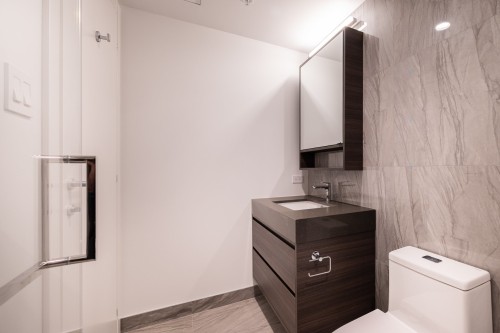 Salle de bains - 1504-1518 Rue Sherbrooke O., Montréal (Ville-Marie), QC - Indoor Photo Showing Bathroom