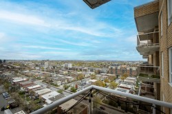 View - 