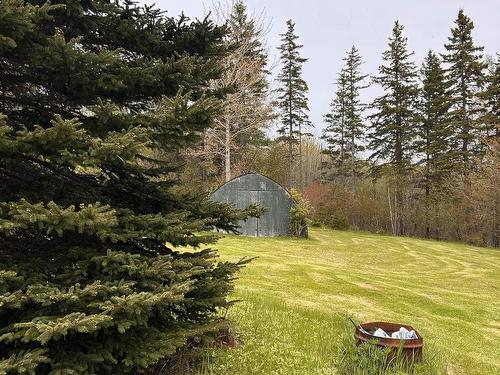 4430 252 Highway, Hillsboro, NS 