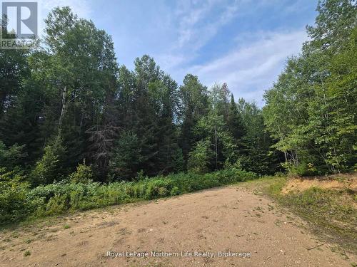 680 Mount Pleasant Road, Calvin, ON 