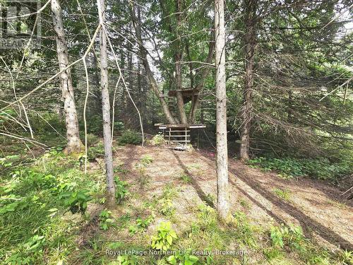 680 Mount Pleasant Road, Calvin, ON 