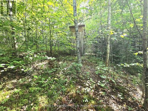 680 Mount Pleasant Road, Calvin, ON 