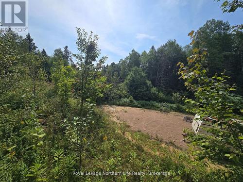 680 Mount Pleasant Road, Calvin, ON 