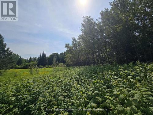 680 Mount Pleasant Road, Calvin, ON 