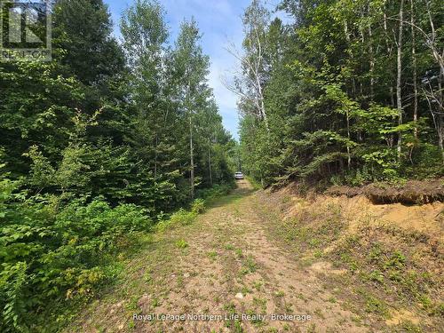 680 Mount Pleasant Road, Calvin, ON 