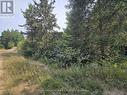 680 Mount Pleasant Road, Calvin, ON 