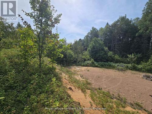 680 Mount Pleasant Road, Calvin, ON 
