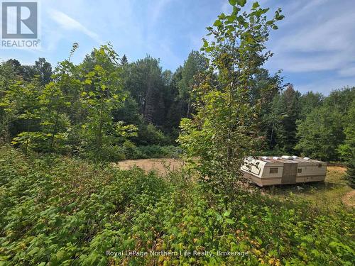 680 Mount Pleasant Road, Calvin, ON 