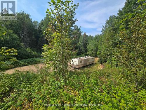 680 Mount Pleasant Road, Calvin, ON 