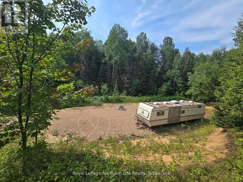 680 Mount Pleasant Road, Calvin, ON 