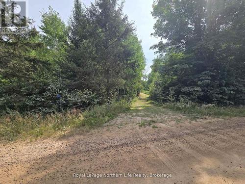 680 Mount Pleasant Road, Calvin, ON 