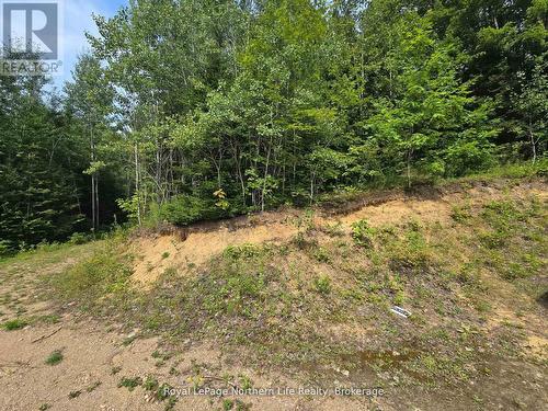 680 Mount Pleasant Road, Calvin, ON 