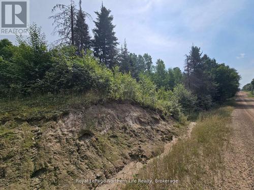 680 Mount Pleasant Road, Calvin, ON 