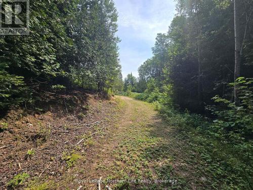 680 Mount Pleasant Road, Calvin, ON 