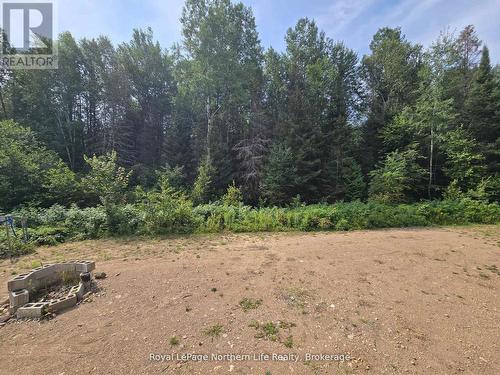 680 Mount Pleasant Road, Calvin, ON 
