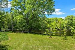 Backyard - 