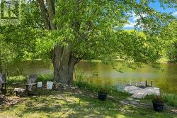 Backyard - 