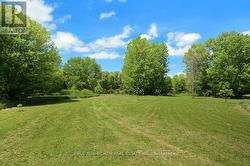 Backyard - 