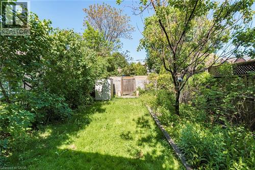 Grassy backyard featuring perimeter greenery, mature trees, and a wooden fence with a gate - 134 Erie Avenue, Hamilton, ON 