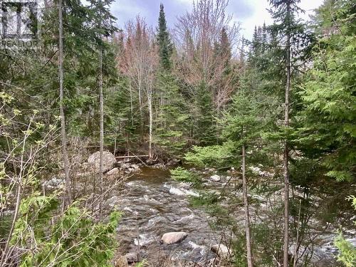 19 Northwoods Dr, Pancake, ON 