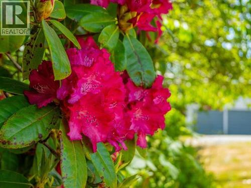 10282 Patrick Road, Powell River, BC 
