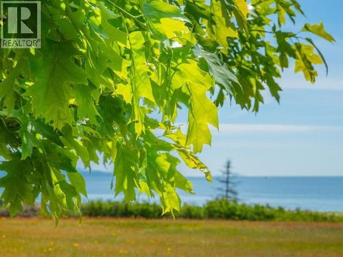 10282 Patrick Road, Powell River, BC 