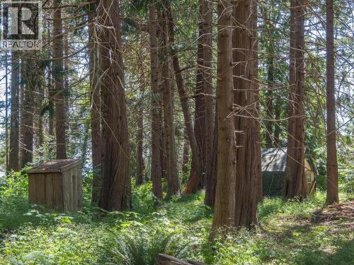 10282 Patrick Road, Powell River, BC 