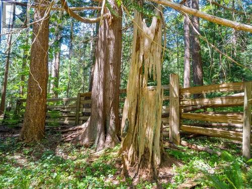10282 Patrick Road, Powell River, BC 