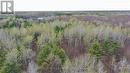 2444 Fairgrounds Road, Ramara, ON 