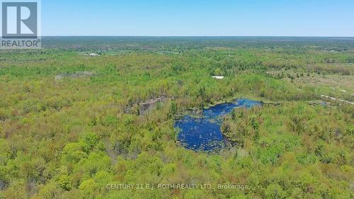 2444 Fairgrounds Road, Ramara, ON 