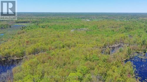 2444 Fairgrounds Road, Ramara, ON 