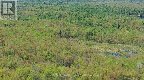 2444 Fairgrounds Road, Ramara, ON 