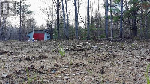 2444 Fairgrounds Road, Ramara, ON 