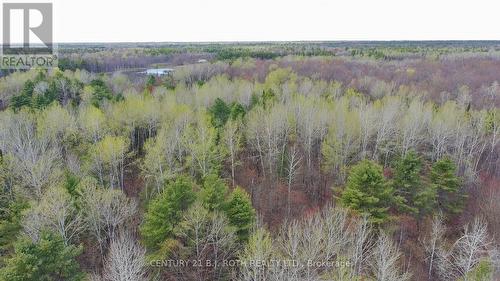 2444 Fairgrounds Road, Ramara, ON 