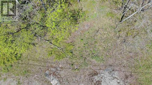 2444 Fairgrounds Road, Ramara, ON 