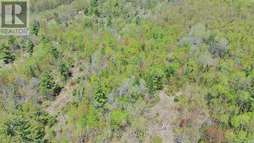 2444 Fairgrounds Road, Ramara, ON 