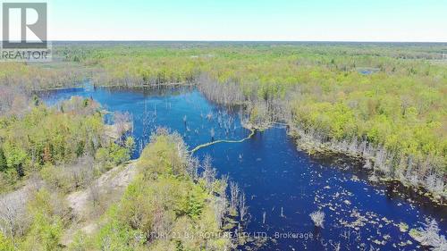 2444 Fairgrounds Road, Ramara, ON 
