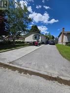 116 NICHOLAS STREET Quinte West (Trenton Ward), ON K8V 6B2