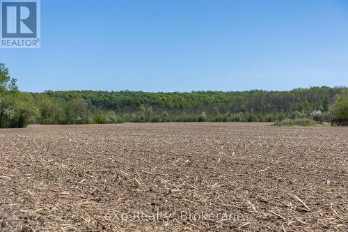 157659 7Th Line, Meaford, ON 