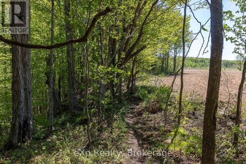 157659 7Th Line, Meaford, ON 