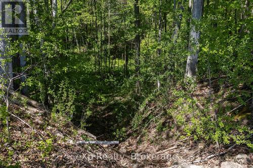 157659 7Th Line, Meaford, ON 