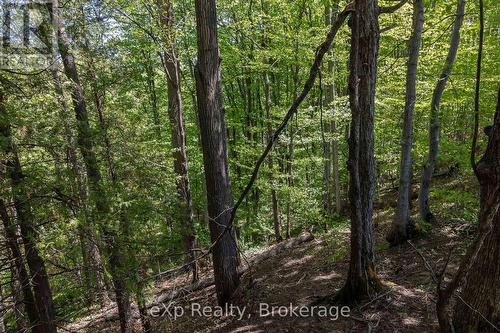 157659 7Th Line, Meaford, ON 