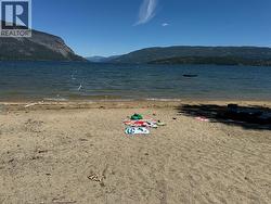Community beach - 