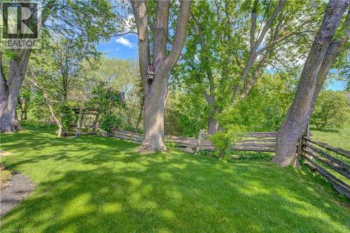 Expansive green lawn with mature trees providing dappled shade - 137 Wesley Crescent, Waterloo, ON 